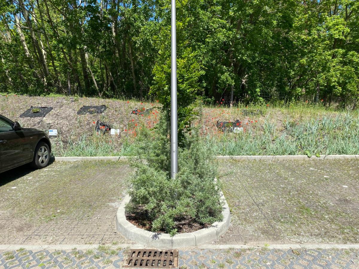 Apartpark Albus1 Świnoujście Exteriör bild